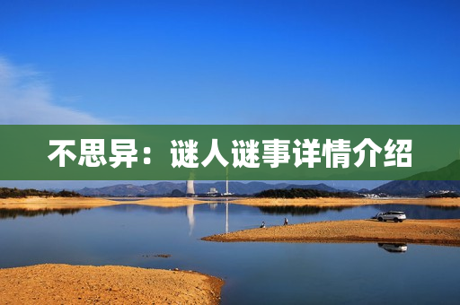 不思异：谜人谜事详情介绍