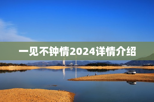 一见不钟情2024详情介绍