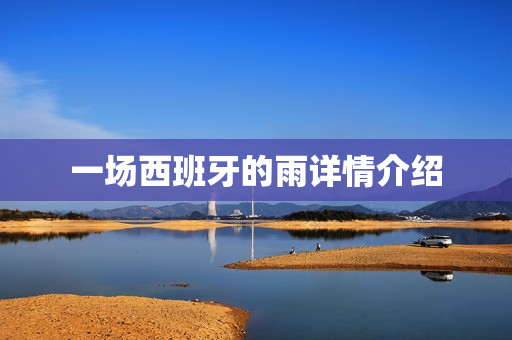 一场西班牙的雨详情介绍