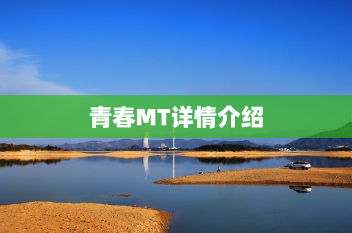 青春MT详情介绍