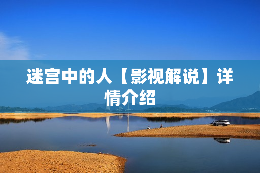 迷宫中的人【影视解说】详情介绍