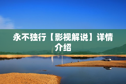 永不独行【影视解说】详情介绍 永不独行【影视解说】详情介绍