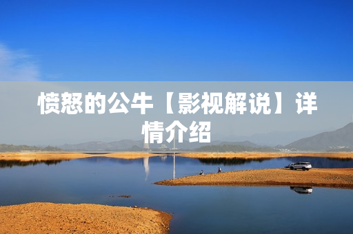 愤怒的公牛【影视解说】详情介绍