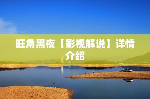 旺角黑夜【影视解说】详情介绍