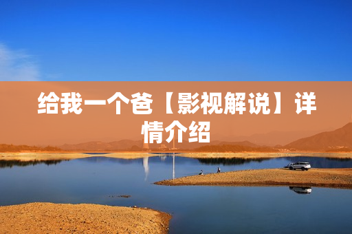 给我一个爸【影视解说】详情介绍