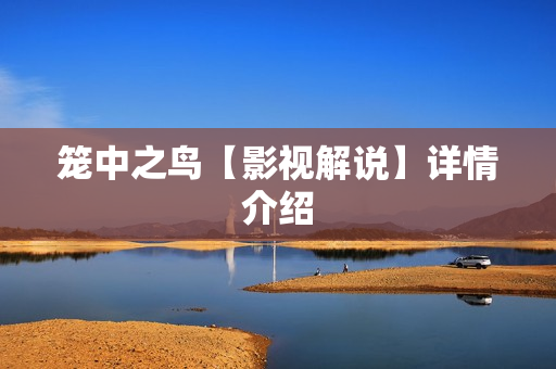 笼中之鸟【影视解说】详情介绍