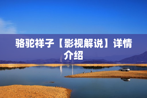 骆驼祥子【影视解说】详情介绍