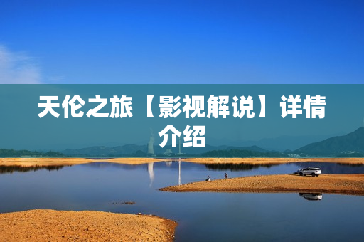 天伦之旅【影视解说】详情介绍