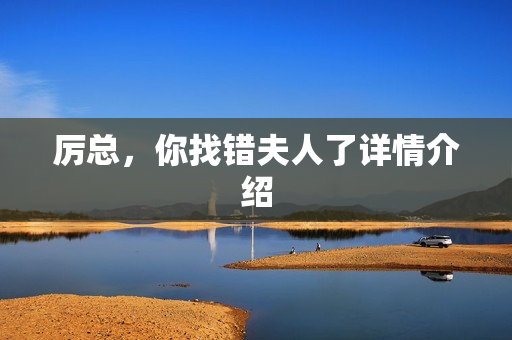 厉总，你找错夫人了详情介绍