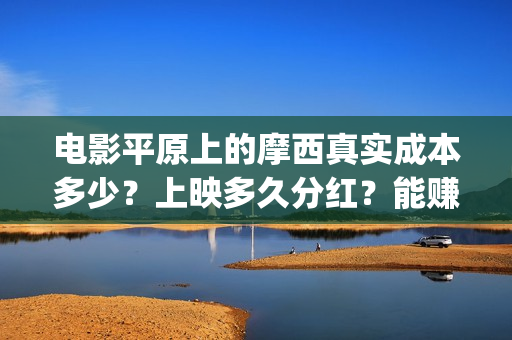 电影平原上的摩西真实成本多少？上映多久分红？能赚钱吗？(《平原上的摩西》迷雾剧场)