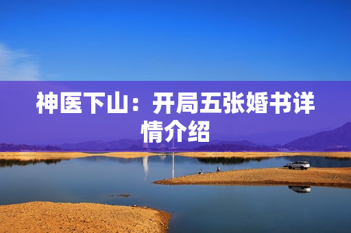 神医下山：开局五张婚书详情介绍