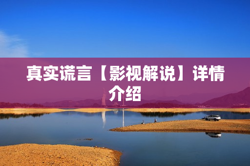 真实谎言【影视解说】详情介绍