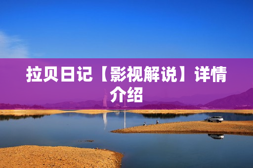 拉贝日记【影视解说】详情介绍