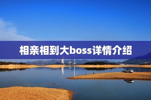 相亲相到大boss详情介绍