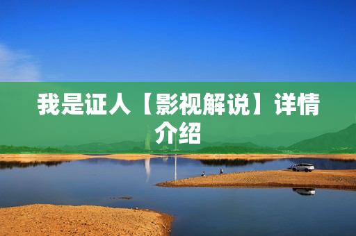 我是证人【影视解说】详情介绍