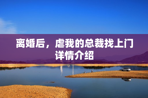 离婚后，虐我的总裁找上门详情介绍