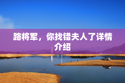 路将军，你找错夫人了详情介绍