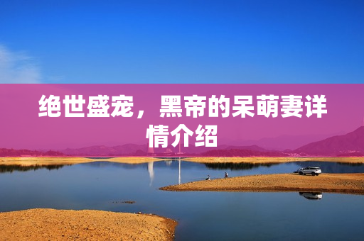 绝世盛宠，黑帝的呆萌妻详情介绍