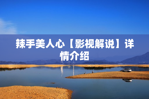 辣手美人心【影视解说】详情介绍