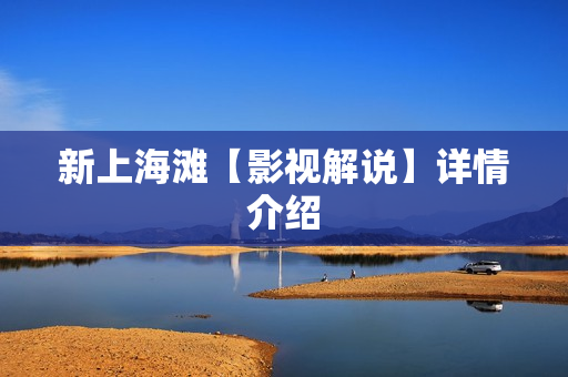 新上海滩【影视解说】详情介绍
