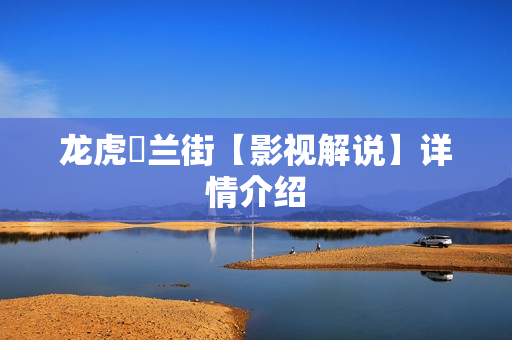 龙虎砵兰街【影视解说】详情介绍