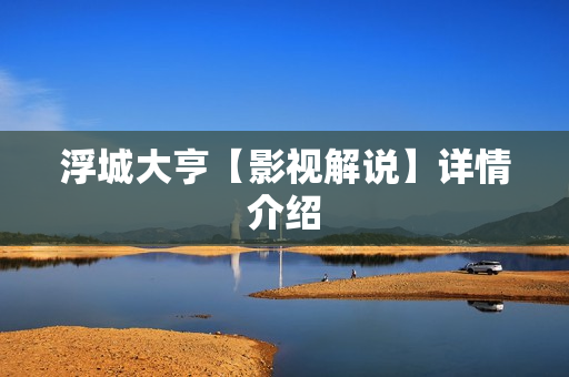 浮城大亨【影视解说】详情介绍