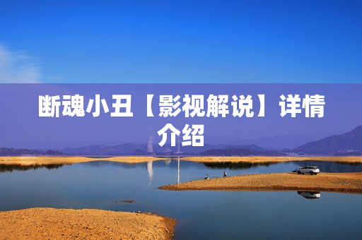 断魂小丑【影视解说】详情介绍