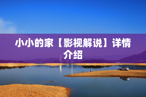 小小的家【影视解说】详情介绍