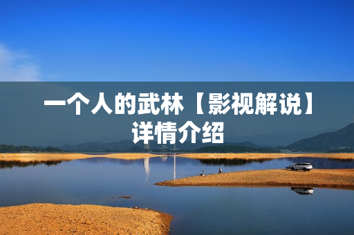 一个人的武林【影视解说】详情介绍