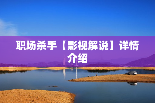 职场杀手【影视解说】详情介绍