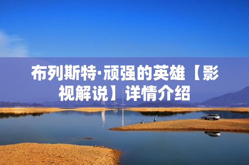 布列斯特·顽强的英雄【影视解说】详情介绍 布列斯特·顽强的英雄【影视解说】详情介绍