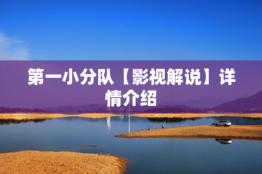 第一小分队【影视解说】详情介绍