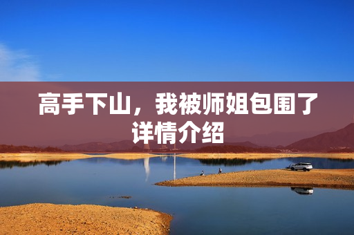 高手下山，我被师姐包围了详情介绍