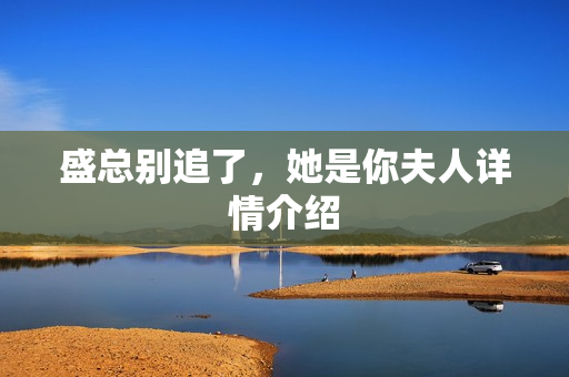 盛总别追了，她是你夫人详情介绍