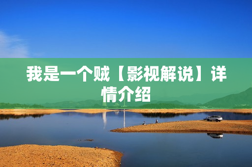 我是一个贼【影视解说】详情介绍