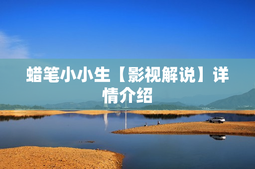 蜡笔小小生【影视解说】详情介绍 蜡笔小小生【影视解说】详情介绍