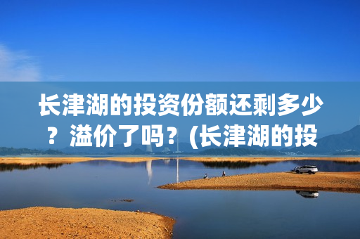 长津湖的投资份额还剩多少？溢价了吗？(长津湖的投资额)