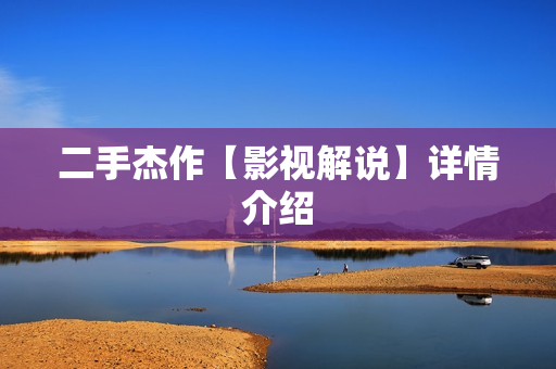 二手杰作【影视解说】详情介绍 二手杰作【影视解说】详情介绍
