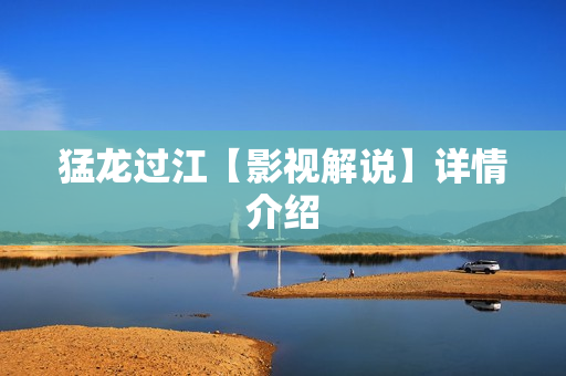 猛龙过江【影视解说】详情介绍 猛龙过江【影视解说】详情介绍