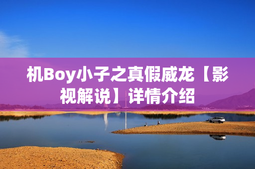 机Boy小子之真假威龙【影视解说】详情介绍
