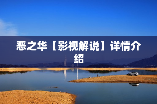 恶之华【影视解说】详情介绍