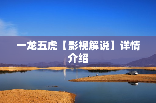 一龙五虎【影视解说】详情介绍