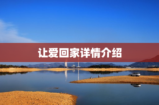 让爱回家详情介绍