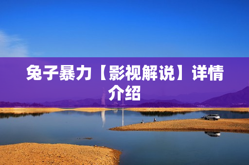 兔子暴力【影视解说】详情介绍