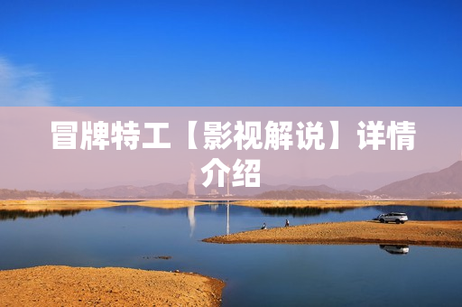 冒牌特工【影视解说】详情介绍