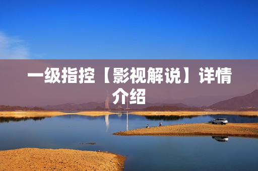 一级指控【影视解说】详情介绍