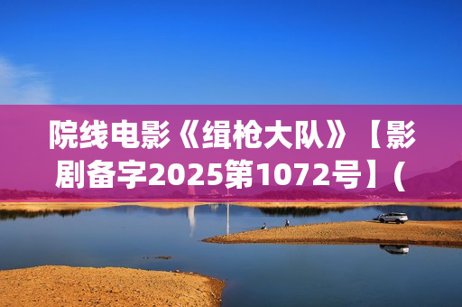 院线电影《缉枪大队》【影剧备字2025第1072号】(缉枪 720p)