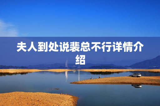 夫人到处说裴总不行详情介绍