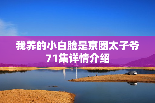 我养的小白脸是京圈太子爷71集详情介绍 我养的小白脸是京圈太子爷71集详情介绍
