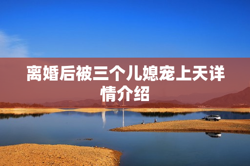 离婚后被三个儿媳宠上天详情介绍